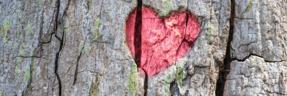 haggenkyrkan-oxelosund-undervisning-tungans-makt-hjartats-renhet